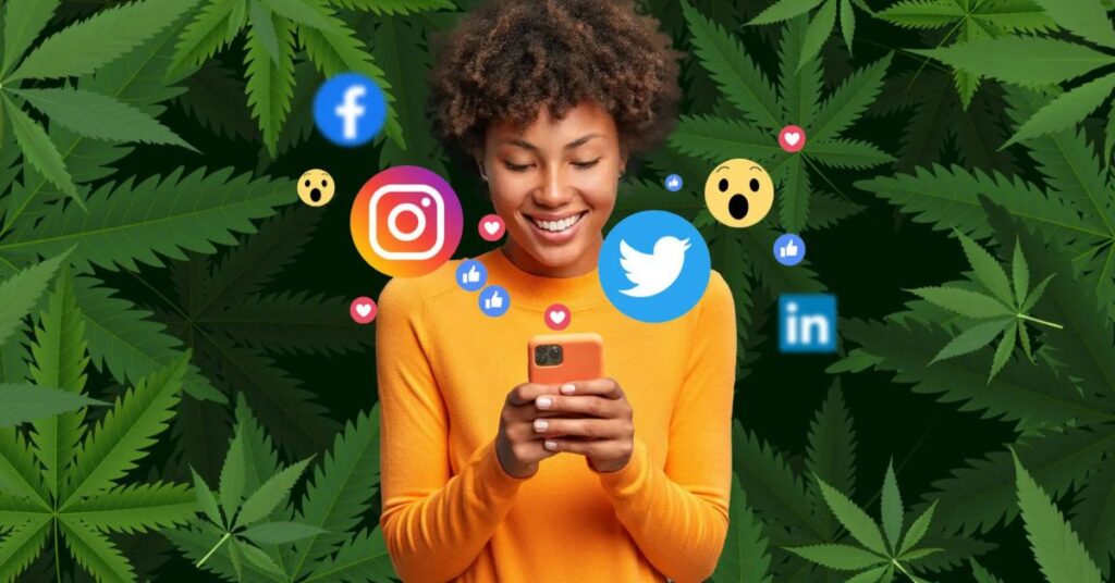 Understanding Cannabis Business Social Networks