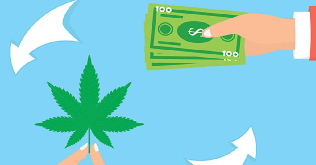 What Are The Pricing Options For Cannabis Business Social Networks