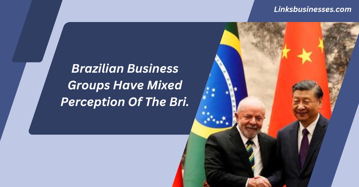 Brazilian Business Groups Have Mixed Perception Of The Bri.